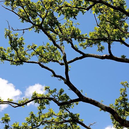 Chambre D'Hotes Douce Heure De Chene Plescop Exteriör bild